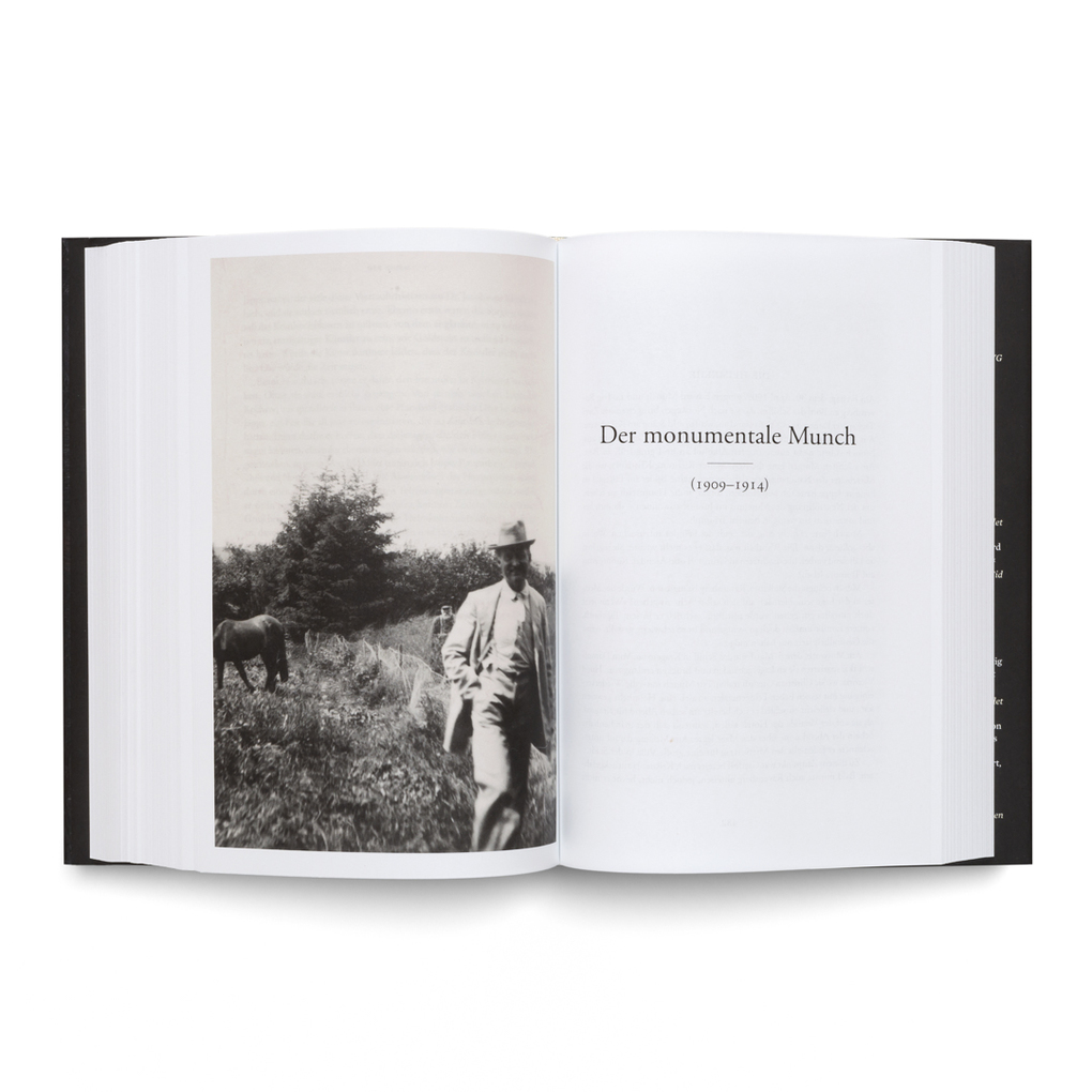Weitere Ansicht: Der Sturm. Eine Biografie über Edvard Munch | Ivo de Figueiredo