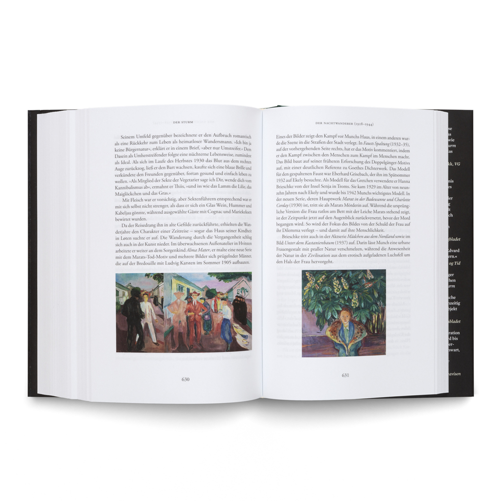 Weitere Ansicht: Der Sturm. Eine Biografie über Edvard Munch | Ivo de Figueiredo