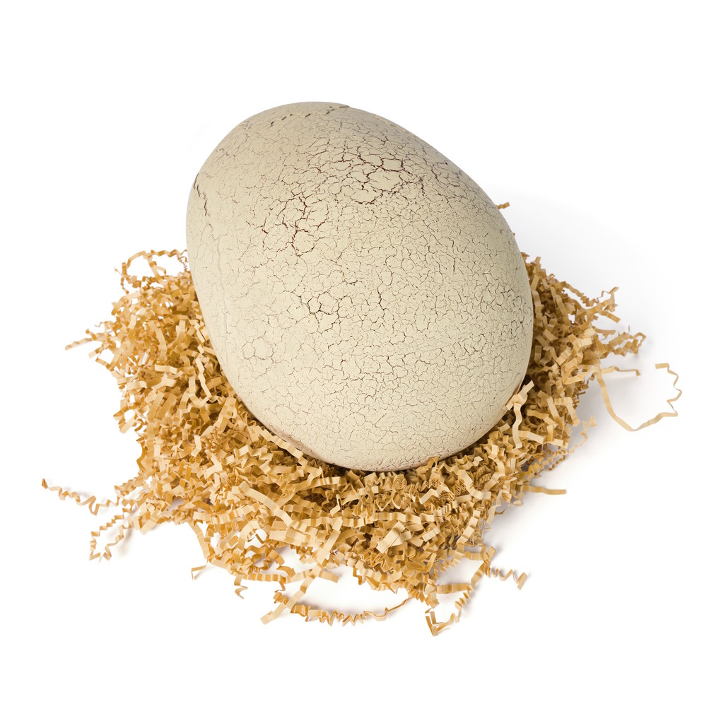 Weitere Ansicht: Spin Master - Primal Hatch - Interaktiver T-Rex im Ei