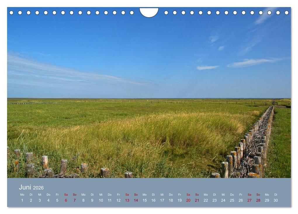 Weitere Ansicht: Westerhever (Wandkalender 2026 DIN A4 quer), CALVENDO Monatskalender | Martina Fornal, Calvendo
