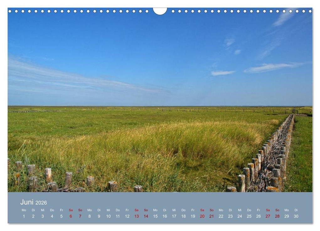 Weitere Ansicht: Westerhever (Wandkalender 2026 DIN A3 quer), CALVENDO Monatskalender | Martina Fornal, Calvendo