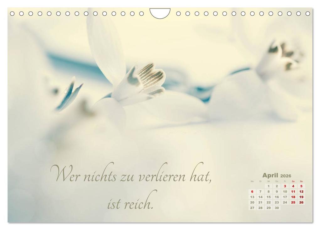 Weitere Ansicht: Chinesische Weisheiten (Wandkalender 2026 DIN A4 quer), CALVENDO Monatskalender | Ulrike Adam, Calvendo