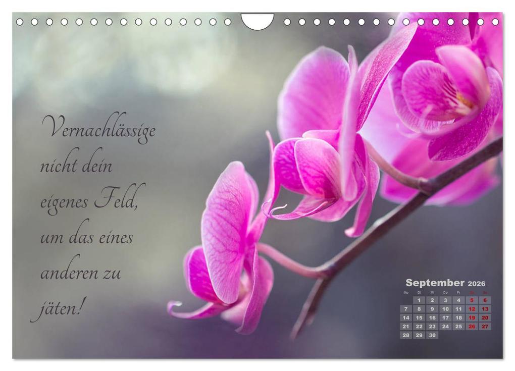 Weitere Ansicht: Chinesische Weisheiten (Wandkalender 2026 DIN A4 quer), CALVENDO Monatskalender | Ulrike Adam, Calvendo