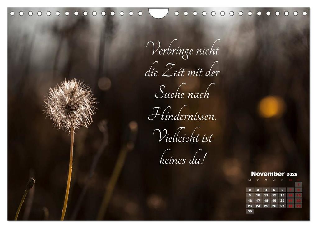 Weitere Ansicht: Chinesische Weisheiten (Wandkalender 2026 DIN A4 quer), CALVENDO Monatskalender | Ulrike Adam, Calvendo
