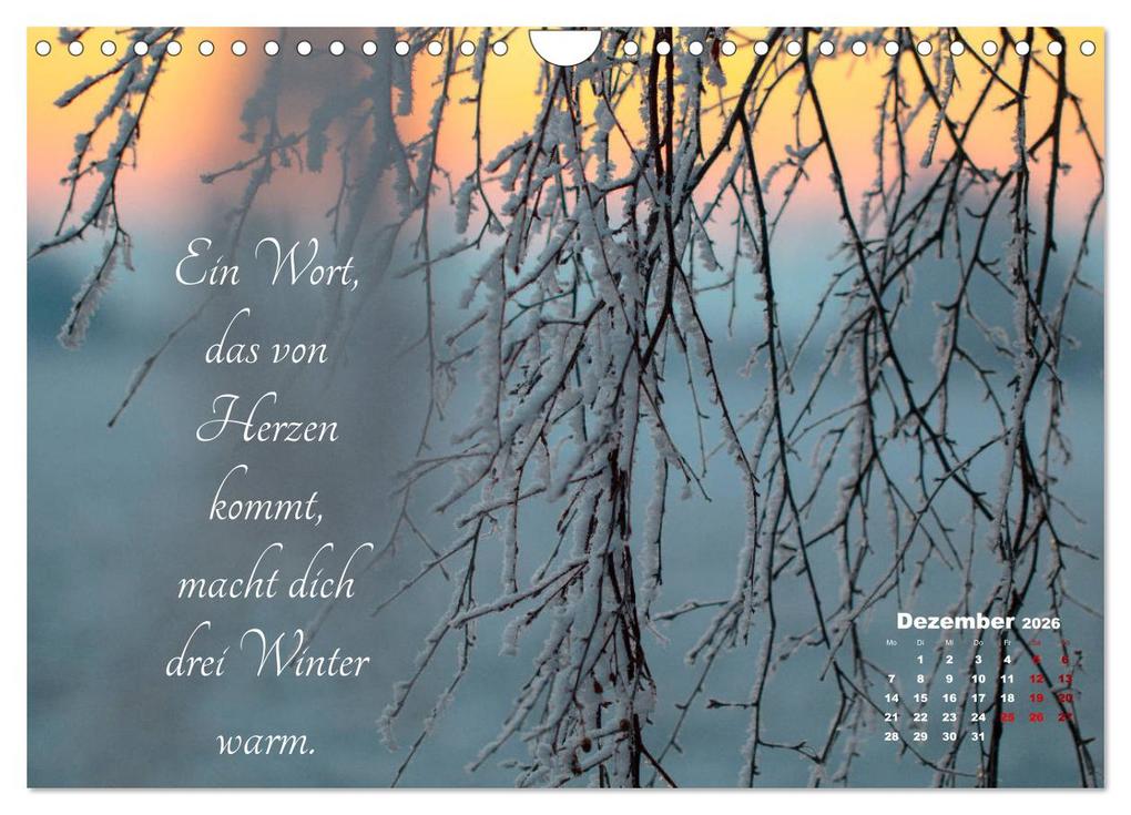 Weitere Ansicht: Chinesische Weisheiten (Wandkalender 2026 DIN A4 quer), CALVENDO Monatskalender | Ulrike Adam, Calvendo