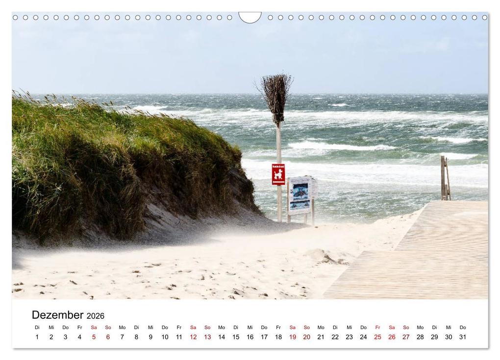 Weitere Ansicht: Schleswig-Holstein in 365 Farben (Wandkalender 2026 DIN A3 quer), CALVENDO Monatskalender | Thomas Jansen, Calvendo