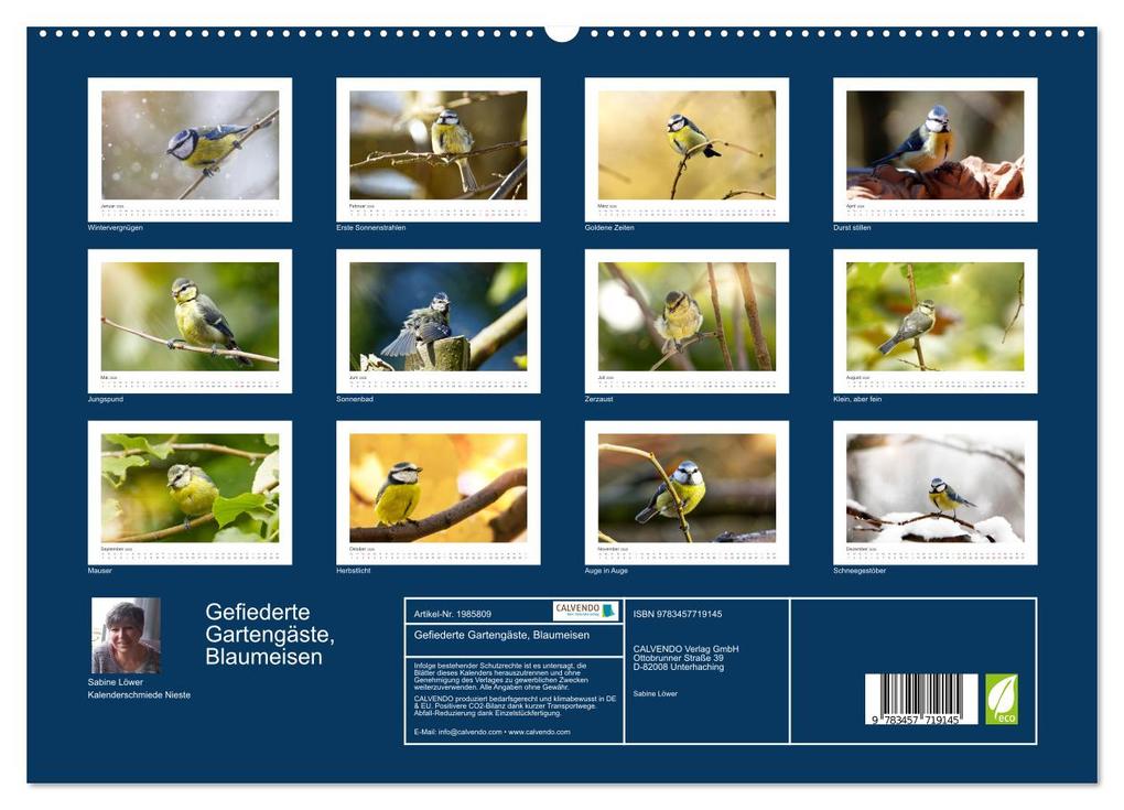 Weitere Ansicht: Gefiederte Gartengäste, Blaumeisen (hochwertiger Premium Wandkalender 2026 DIN A2 quer), Kunstdruck in Hochglanz | Calvendo, Sabine Löwer