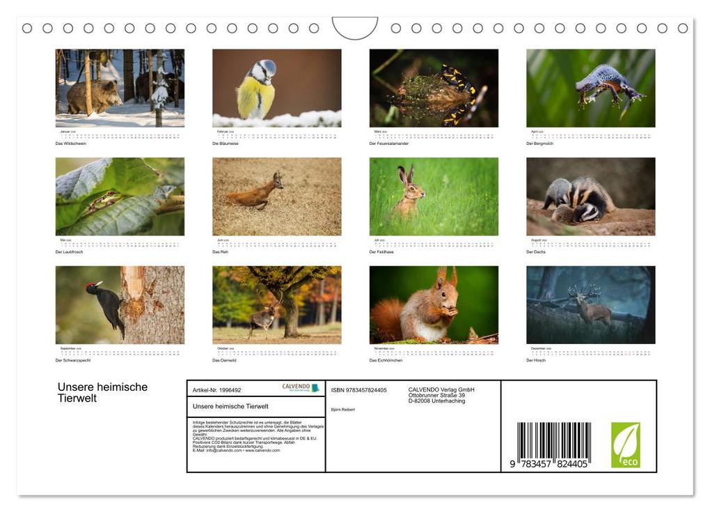 Weitere Ansicht: Unsere heimische Tierwelt (Wandkalender 2026 DIN A4 quer), CALVENDO Monatskalender | Calvendo, Björn Reibert