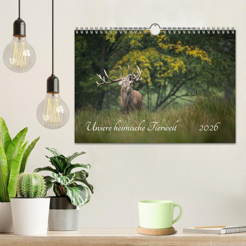 Weitere Ansicht: Unsere heimische Tierwelt (Wandkalender 2026 DIN A4 quer), CALVENDO Monatskalender | Calvendo, Björn Reibert