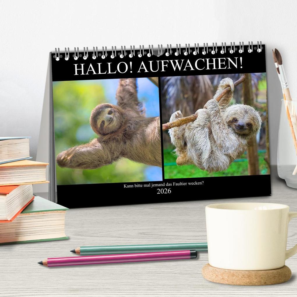Weitere Ansicht: Hallo! Aufwachen! Kann bitte mal jemand das Faultier wecken? (Tischkalender 2026 DIN A5 quer), CALVENDO Monatskalender | Calvendo, Rose Hurley