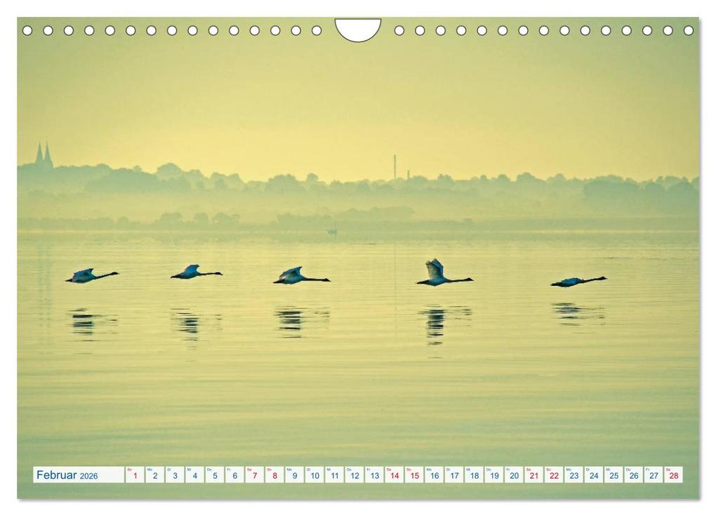 Weitere Ansicht: Flensburg Fjord (Wandkalender 2026 DIN A4 quer), CALVENDO Monatskalender | Calvendo, Irk Boockhoff