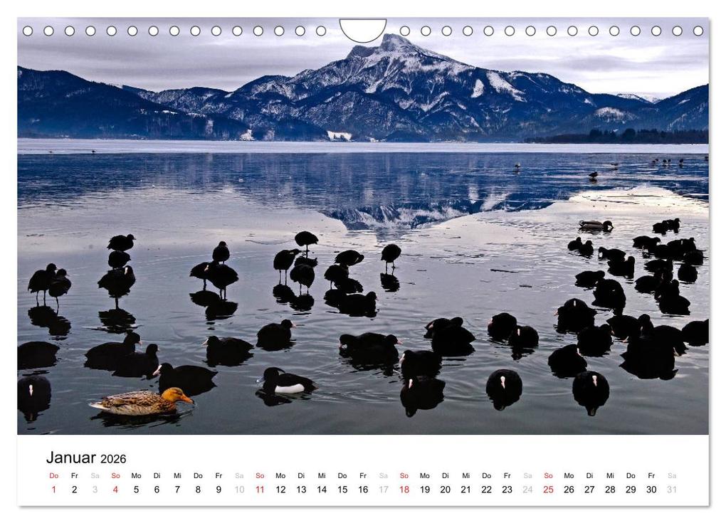 Weitere Ansicht: Zauberhaftes Mondseeland (Wandkalender 2026 DIN A4 quer), CALVENDO Monatskalender | Calvendo, Bernd Zillich