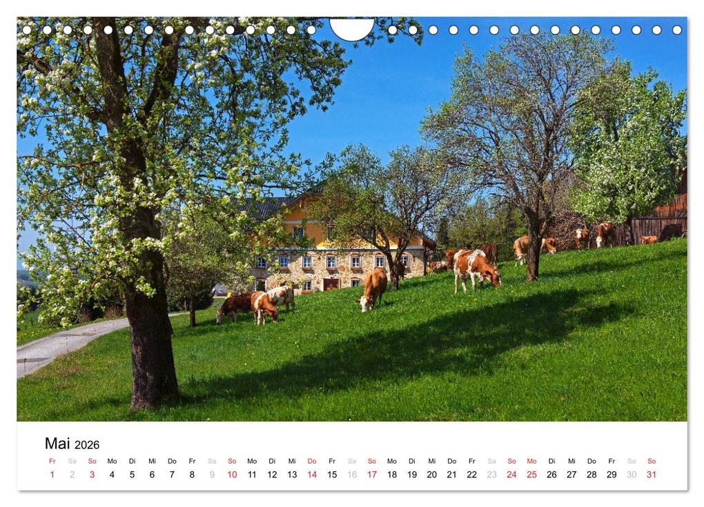 Weitere Ansicht: Zauberhaftes Mondseeland (Wandkalender 2026 DIN A4 quer), CALVENDO Monatskalender | Calvendo, Bernd Zillich