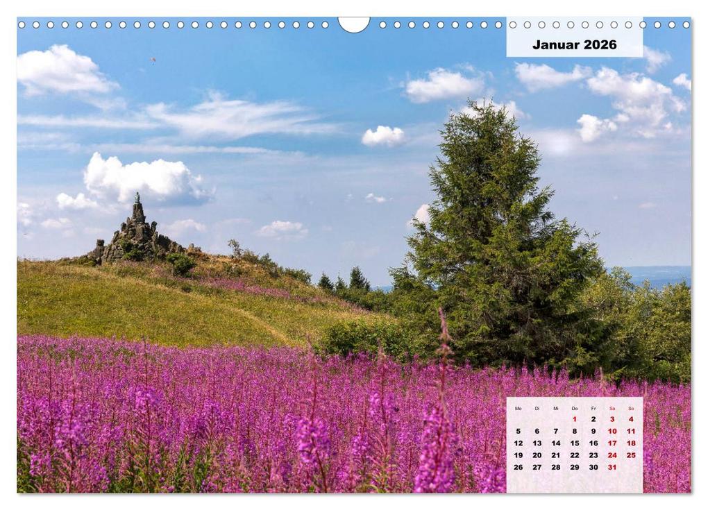 Weitere Ansicht: Rhöner Röschen - ein Sommermärchen in der Hochrhön (Wandkalender 2026 DIN A3 quer), CALVENDO Monatskalender | Calvendo, Hans Pfleger