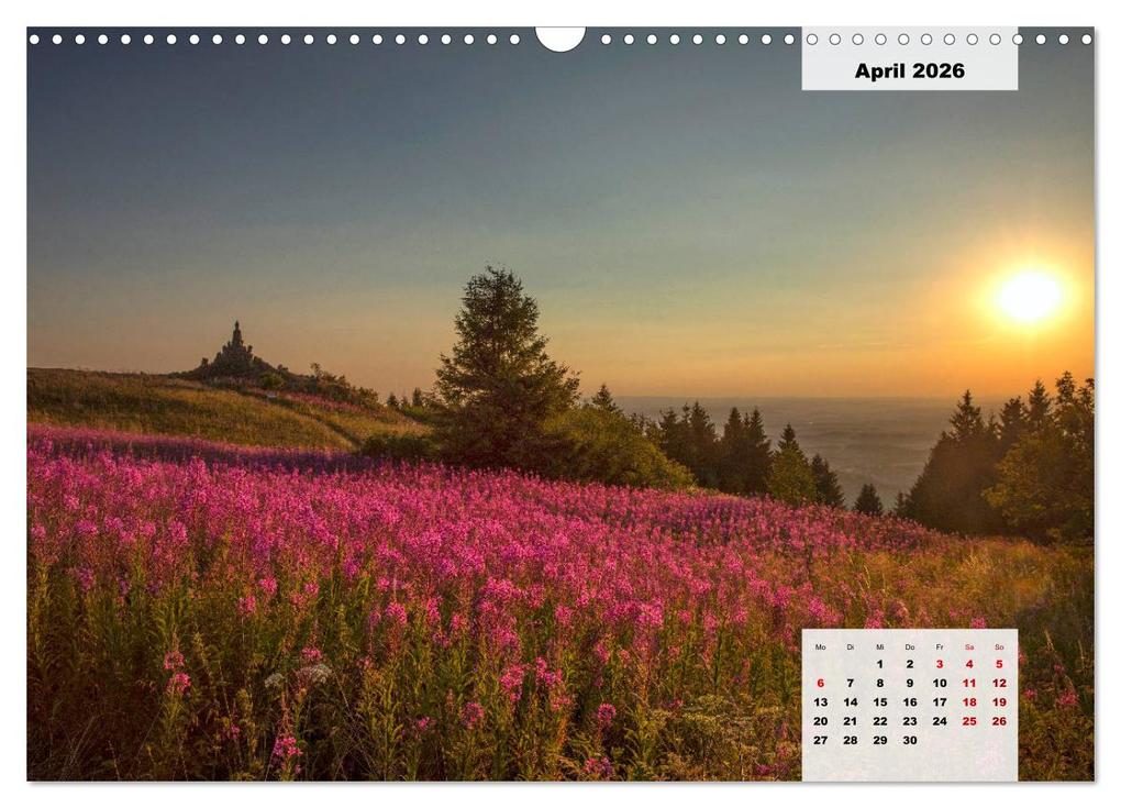 Weitere Ansicht: Rhöner Röschen - ein Sommermärchen in der Hochrhön (Wandkalender 2026 DIN A3 quer), CALVENDO Monatskalender | Calvendo, Hans Pfleger