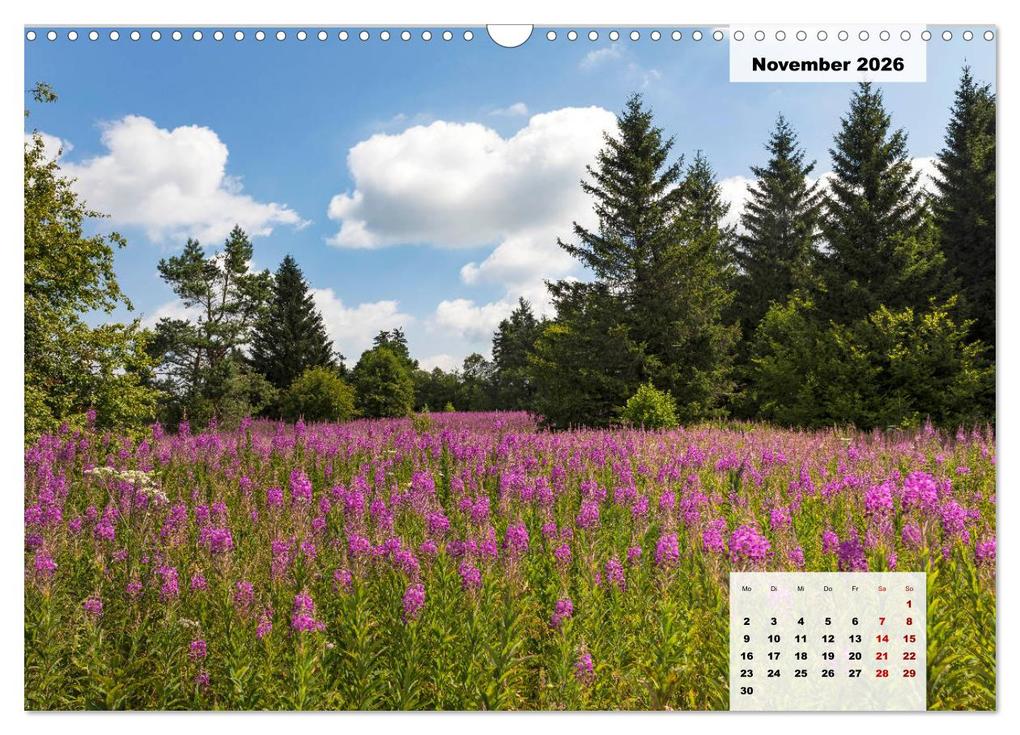 Weitere Ansicht: Rhöner Röschen - ein Sommermärchen in der Hochrhön (Wandkalender 2026 DIN A3 quer), CALVENDO Monatskalender | Calvendo, Hans Pfleger