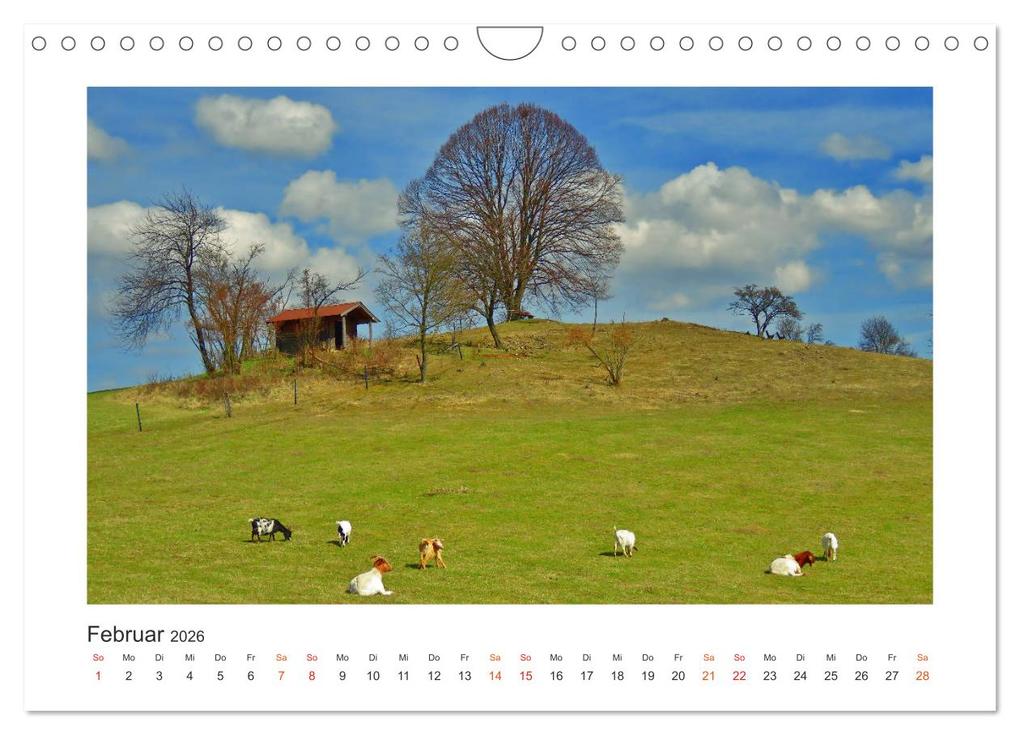 Weitere Ansicht: Nordhessen ist fotogen - Werra-Meißner - Edition (Wandkalender 2026 DIN A4 quer), CALVENDO Monatskalender | Sabine Löwer, Calvendo