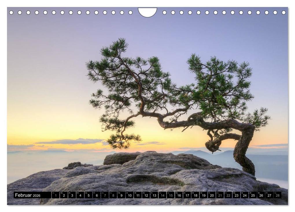 Weitere Ansicht: Wunderschönes Elbsandsteingebirge (Wandkalender 2026 DIN A4 quer), CALVENDO Monatskalender | Michael Valjak, Calvendo