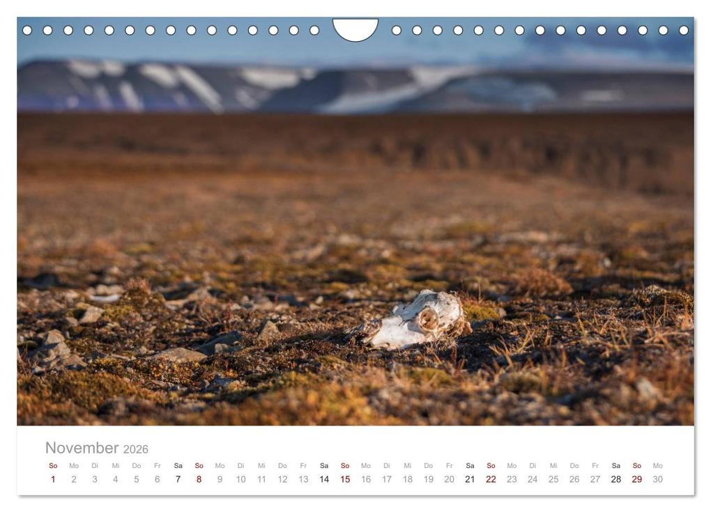 Weitere Ansicht: Spitzbergen - Wild.Rau.Ungezähmt. (Wandkalender 2026 DIN A4 quer), CALVENDO Monatskalender | Lain Jackson, Calvendo