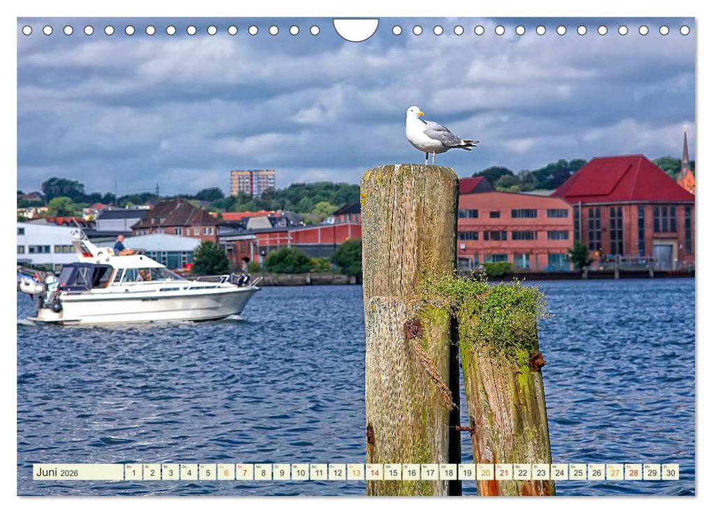 Weitere Ansicht: Bezauberndes Flensburg (Wandkalender 2026 DIN A4 quer), CALVENDO Monatskalender | Peter Roder, Calvendo