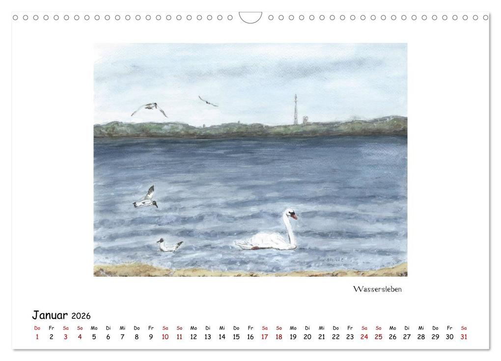 Weitere Ansicht: Die Flensburger Förde (Wandkalender 2026 DIN A3 quer), CALVENDO Monatskalender | Sandra Steinke, Calvendo