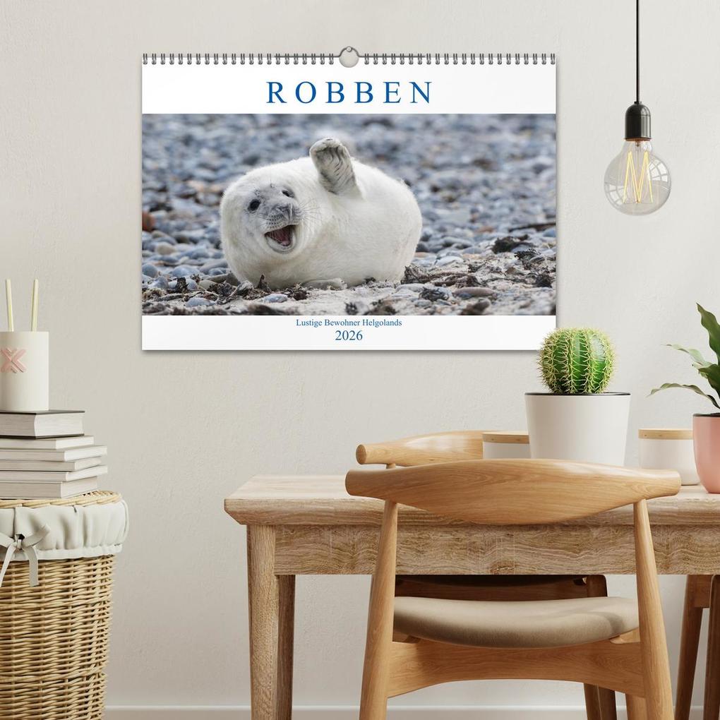 Weitere Ansicht: Robben - Lustige Bewohner Helgolands (Wandkalender 2026 DIN A3 quer), CALVENDO Monatskalender | Egid Orth, Calvendo