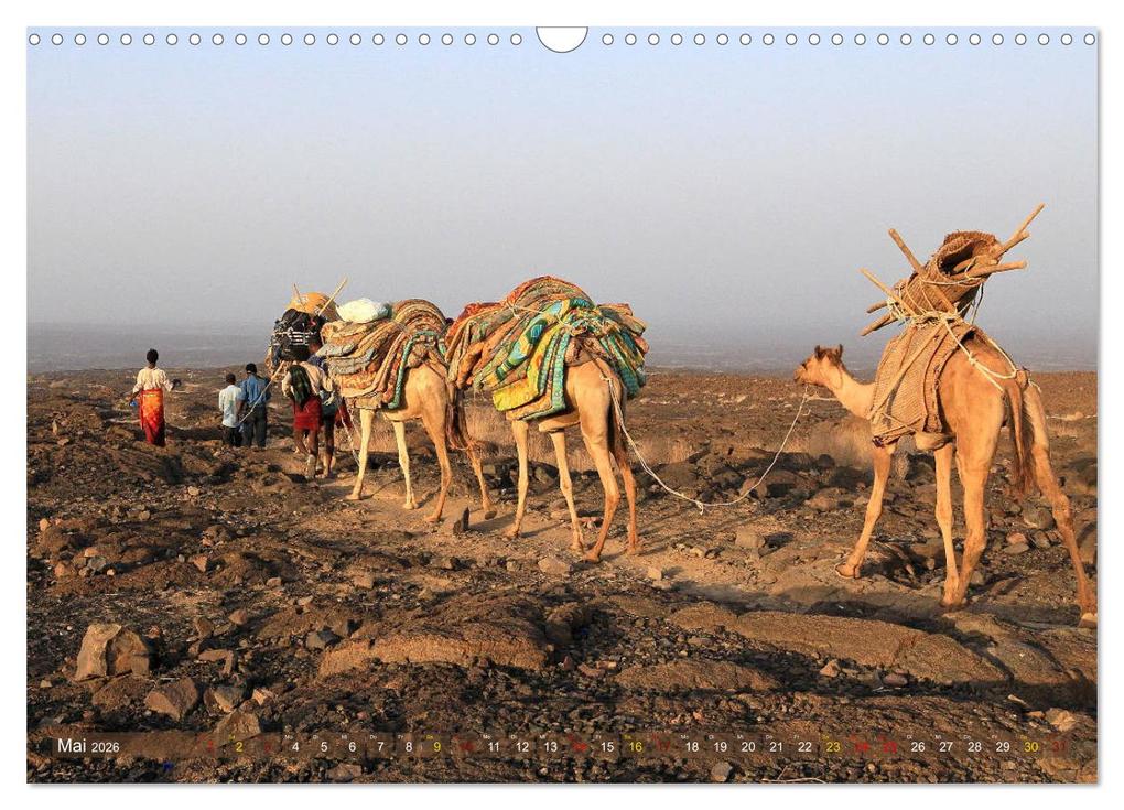 Weitere Ansicht: Kamele - Die freundlichen Gepäckträger (Wandkalender 2026 DIN A3 quer), CALVENDO Monatskalender | Michael Herzog, Calvendo