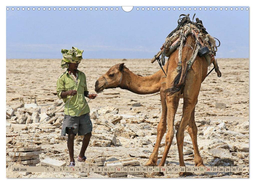 Weitere Ansicht: Kamele - Die freundlichen Gepäckträger (Wandkalender 2026 DIN A3 quer), CALVENDO Monatskalender | Michael Herzog, Calvendo