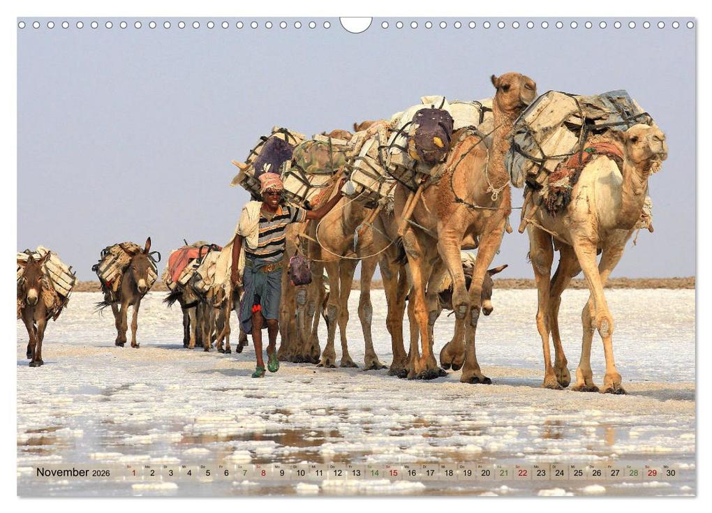 Weitere Ansicht: Kamele - Die freundlichen Gepäckträger (Wandkalender 2026 DIN A3 quer), CALVENDO Monatskalender | Michael Herzog, Calvendo