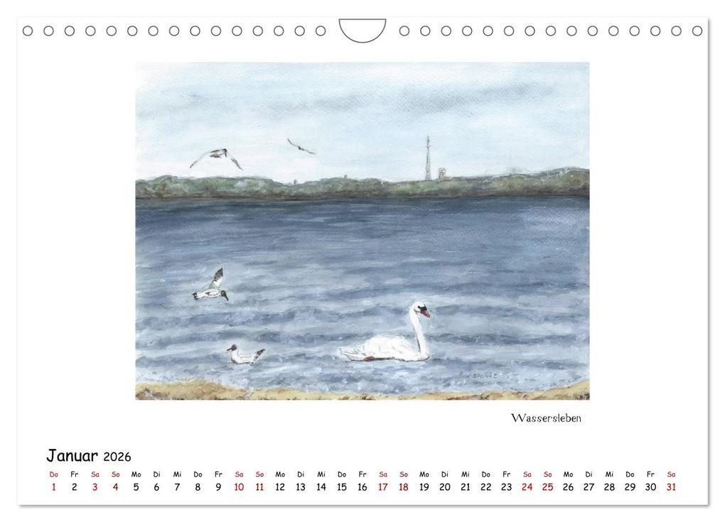 Weitere Ansicht: Die Flensburger Förde (Wandkalender 2026 DIN A4 quer), CALVENDO Monatskalender | Sandra Steinke, Calvendo