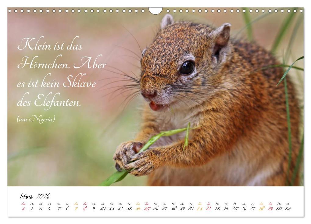 Weitere Ansicht: AFRIKA - Kontinent der Poesie (Wandkalender 2026 DIN A3 quer), CALVENDO Monatskalender | Calvendo, Wibke Woyke