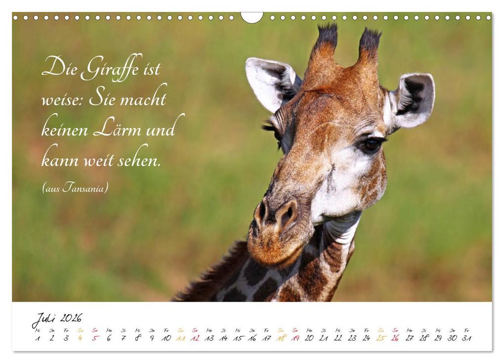 Weitere Ansicht: AFRIKA - Kontinent der Poesie (Wandkalender 2026 DIN A3 quer), CALVENDO Monatskalender | Calvendo, Wibke Woyke