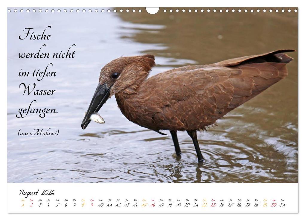 Weitere Ansicht: AFRIKA - Kontinent der Poesie (Wandkalender 2026 DIN A3 quer), CALVENDO Monatskalender | Calvendo, Wibke Woyke