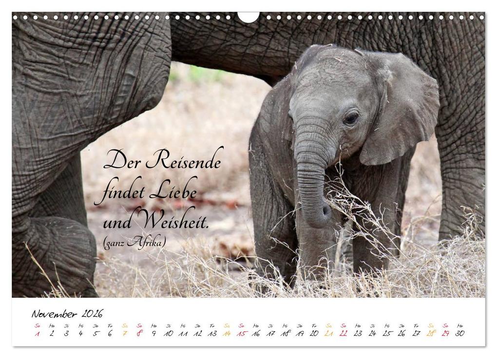Weitere Ansicht: AFRIKA - Kontinent der Poesie (Wandkalender 2026 DIN A3 quer), CALVENDO Monatskalender | Calvendo, Wibke Woyke