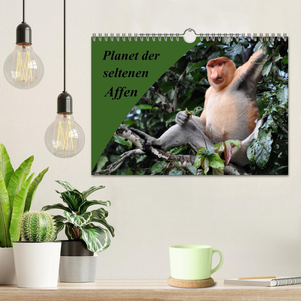 Weitere Ansicht: Planet der seltenen Affen (Wandkalender 2026 DIN A4 quer), CALVENDO Monatskalender | Calvendo, Anja Edel