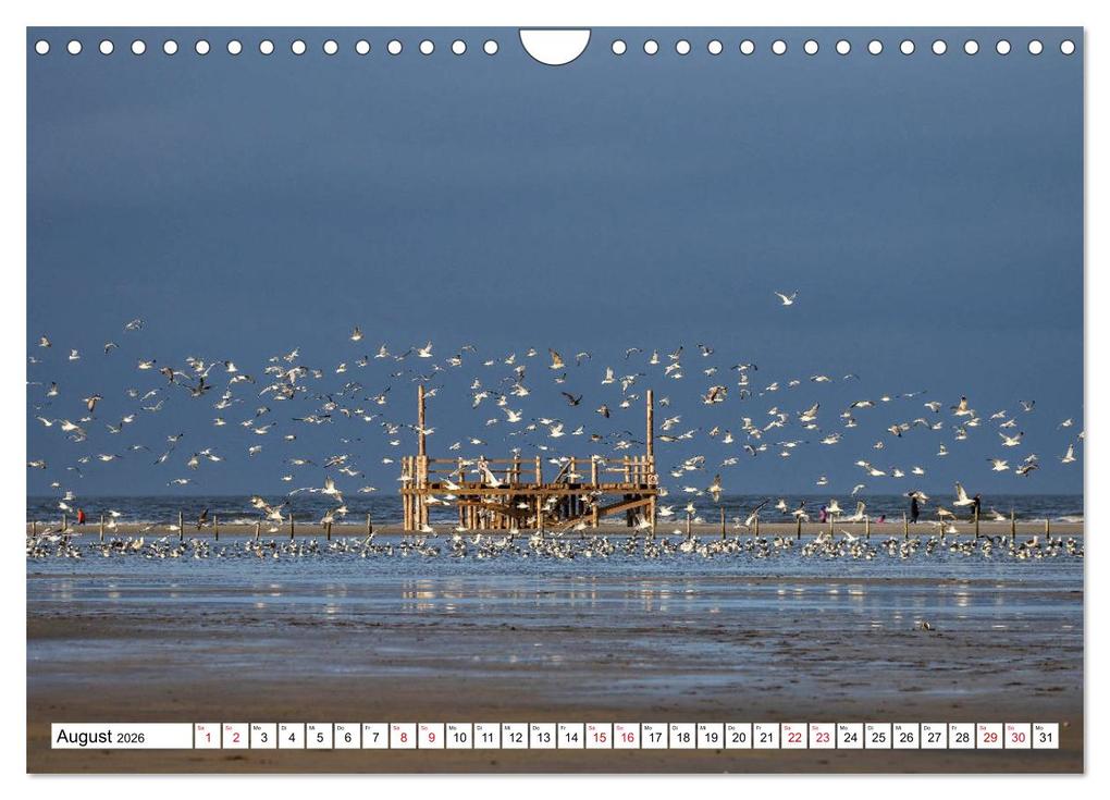 Weitere Ansicht: Impressionen aus Sankt Peter-Ording (Wandkalender 2026 DIN A4 quer), CALVENDO Monatskalender | Calvendo, Schnellewelten, SchnelleWelten SchnelleWelten