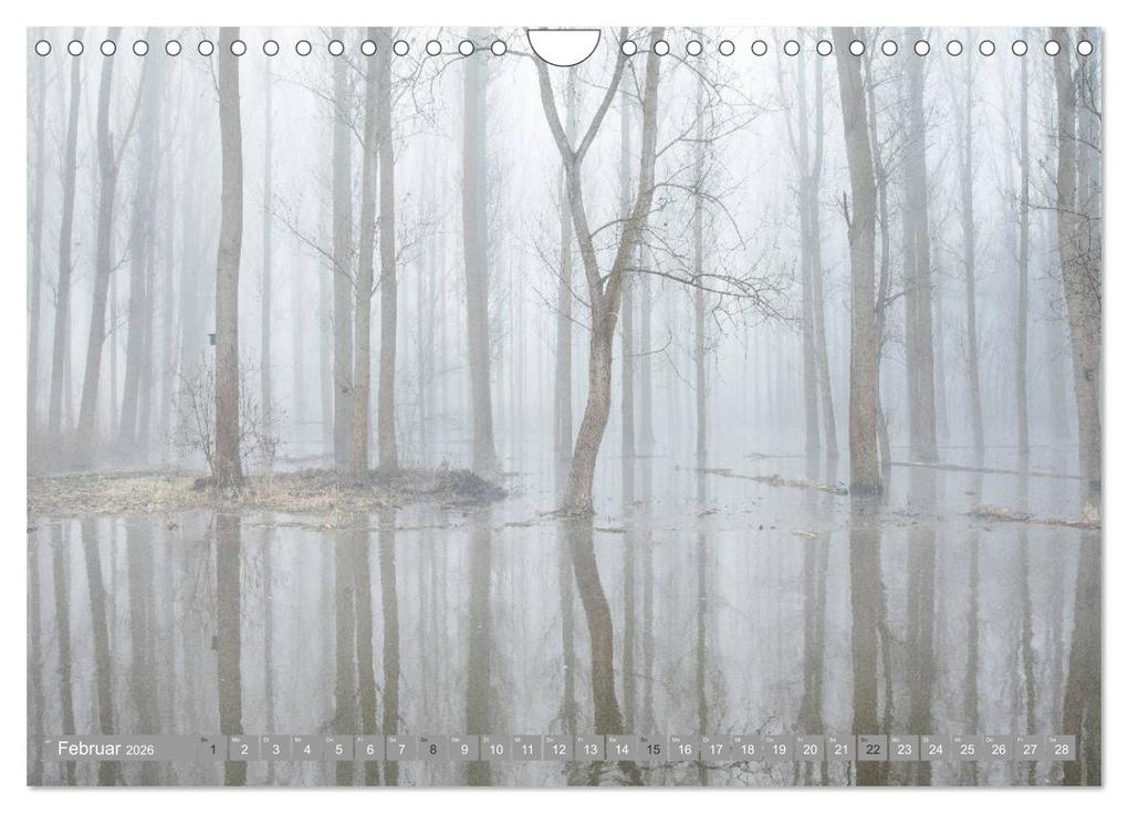 Weitere Ansicht: Das beste Hessen (Wandkalender 2026 DIN A4 quer), CALVENDO Monatskalender | Calvendo, Dietmar Scherf