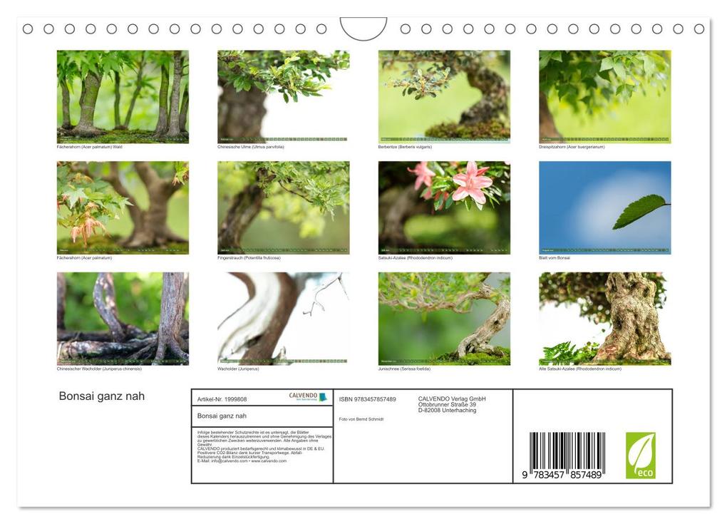 Weitere Ansicht: Bonsai ganz nah (Wandkalender 2026 DIN A4 quer), CALVENDO Monatskalender | Calvendo, Bernd Schmidt