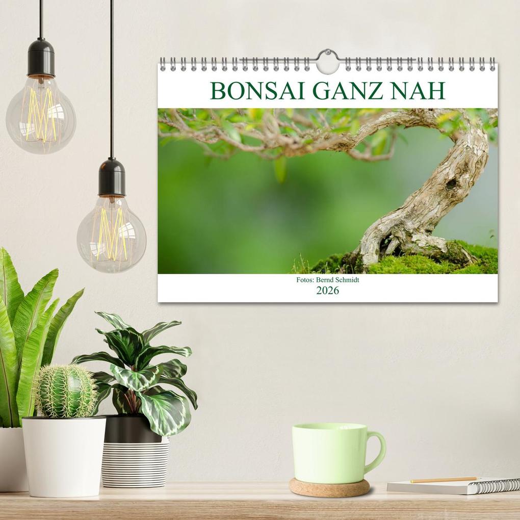 Weitere Ansicht: Bonsai ganz nah (Wandkalender 2026 DIN A4 quer), CALVENDO Monatskalender | Calvendo, Bernd Schmidt