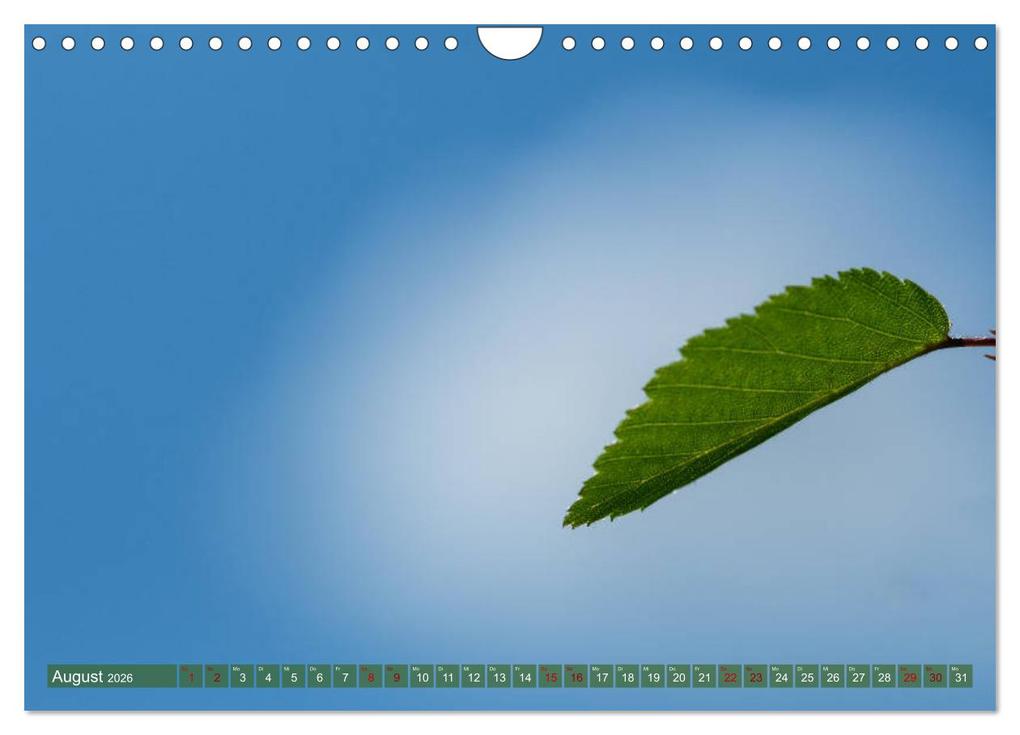 Weitere Ansicht: Bonsai ganz nah (Wandkalender 2026 DIN A4 quer), CALVENDO Monatskalender | Calvendo, Bernd Schmidt