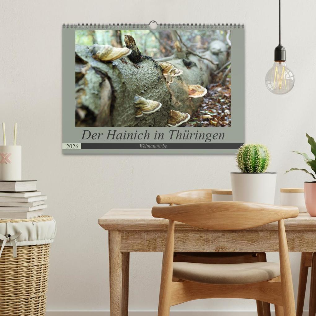 Weitere Ansicht: Der Hainich in Thüringen - Weltnaturerbe (Wandkalender 2026 DIN A3 quer), CALVENDO Monatskalender | Calvendo, Flori0, Flori0 Flori0