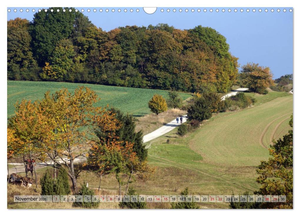 Weitere Ansicht: Der Hainich in Thüringen - Weltnaturerbe (Wandkalender 2026 DIN A3 quer), CALVENDO Monatskalender | Calvendo, Flori0, Flori0 Flori0