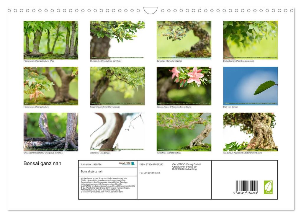 Weitere Ansicht: Bonsai ganz nah (Wandkalender 2026 DIN A3 quer), CALVENDO Monatskalender | Calvendo, Bernd Schmidt