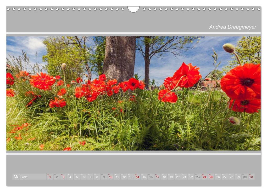 Weitere Ansicht: Krummhörn im Panorama-Format (Wandkalender 2026 DIN A3 quer), CALVENDO Monatskalender | Andrea Dreegmeyer, Calvendo