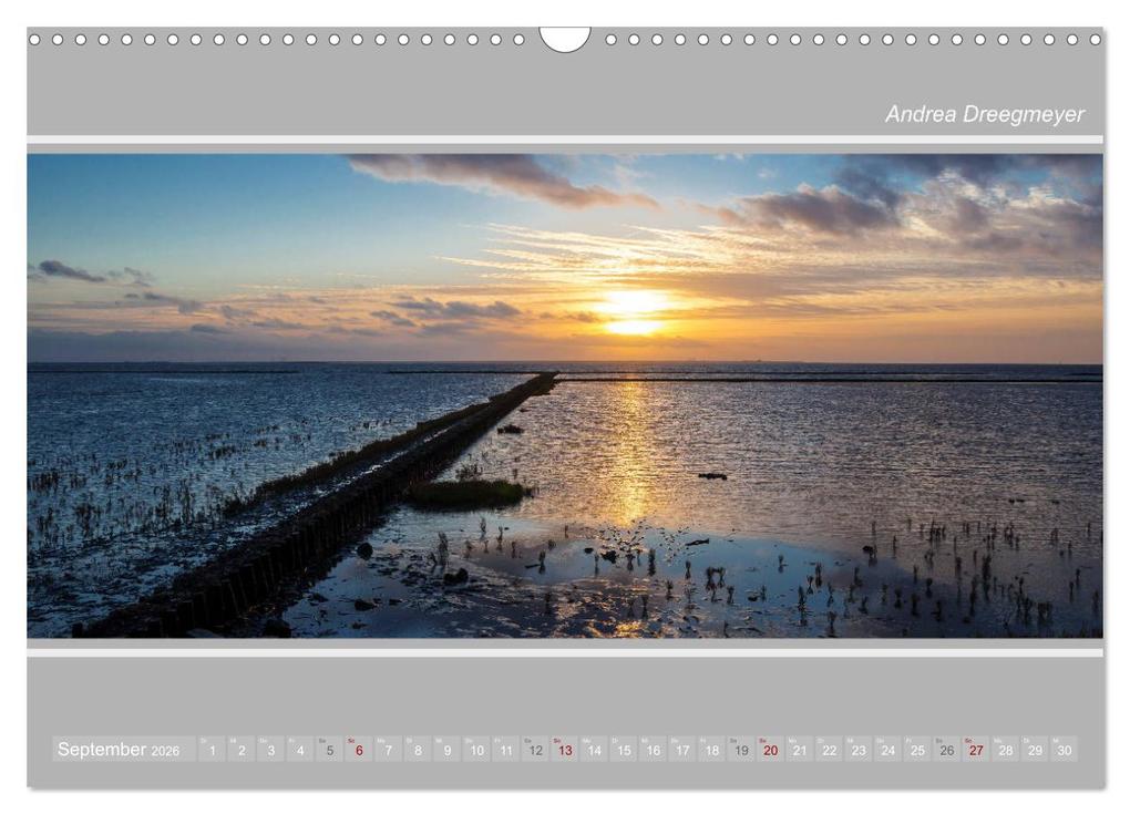 Weitere Ansicht: Krummhörn im Panorama-Format (Wandkalender 2026 DIN A3 quer), CALVENDO Monatskalender | Andrea Dreegmeyer, Calvendo