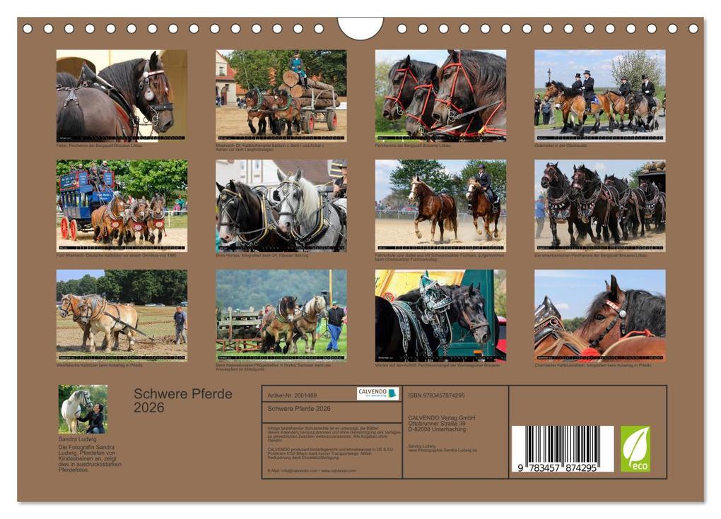Weitere Ansicht: Schwere Pferde 2026 (Wandkalender 2026 DIN A4 quer), CALVENDO Monatskalender | Sandra Ludwig, Calvendo