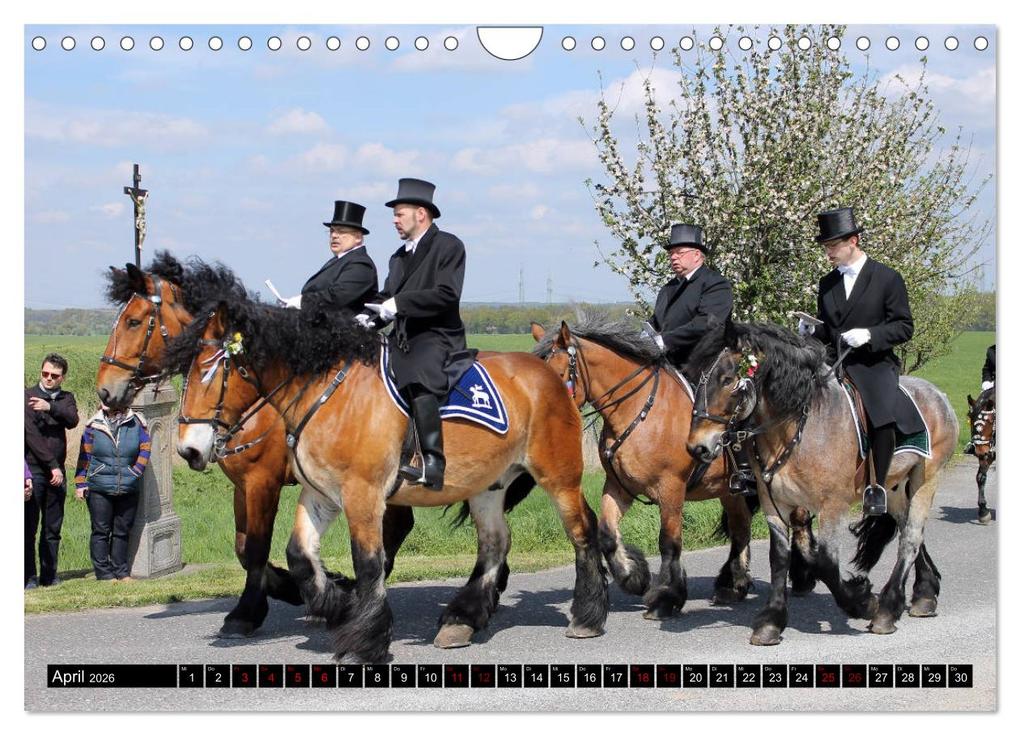 Weitere Ansicht: Schwere Pferde 2026 (Wandkalender 2026 DIN A4 quer), CALVENDO Monatskalender | Sandra Ludwig, Calvendo