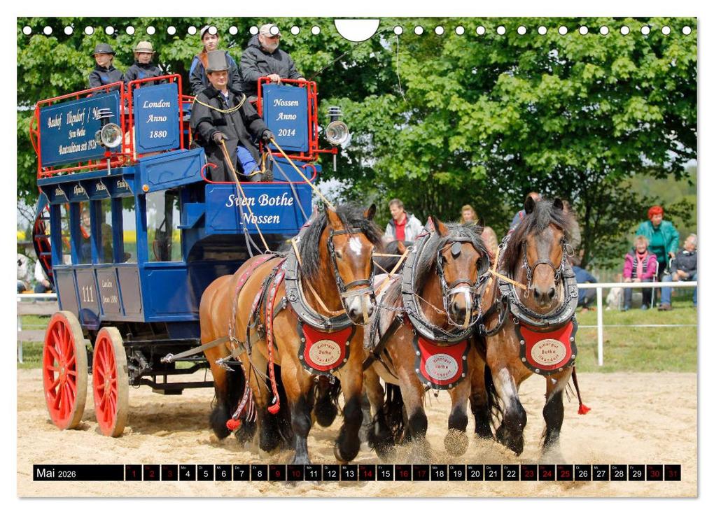 Weitere Ansicht: Schwere Pferde 2026 (Wandkalender 2026 DIN A4 quer), CALVENDO Monatskalender | Sandra Ludwig, Calvendo