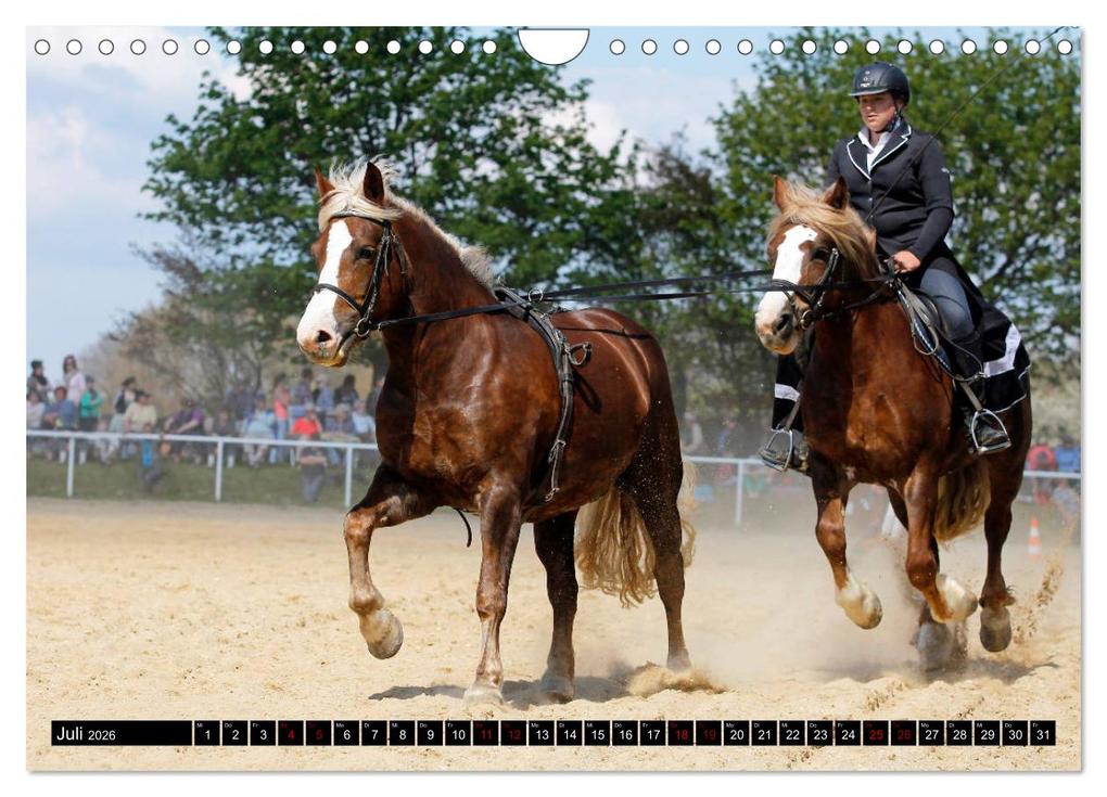 Weitere Ansicht: Schwere Pferde 2026 (Wandkalender 2026 DIN A4 quer), CALVENDO Monatskalender | Sandra Ludwig, Calvendo