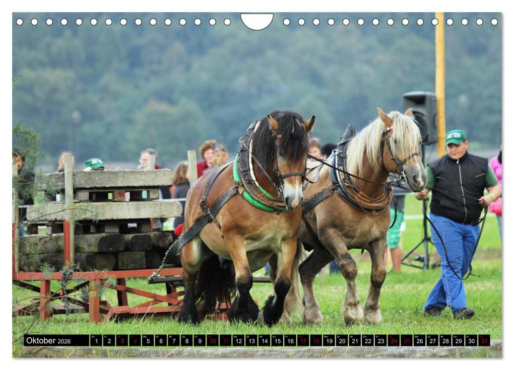 Weitere Ansicht: Schwere Pferde 2026 (Wandkalender 2026 DIN A4 quer), CALVENDO Monatskalender | Sandra Ludwig, Calvendo